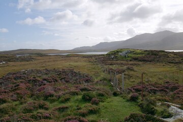 Classical Scottish Scenery with lochs, hills, heather and wet peat land and fences to stop cattle