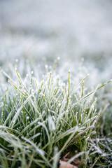 Nahaufnahme eines Grasb&uuml;schels mit Eiskristallen und Raureif bedeckt als Makro Hintergrund