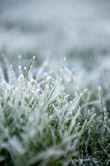 Nahaufnahme eines Grasb&uuml;schels mit Eiskristallen und Raureif bedeckt als Makro Hintergrund