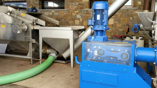 Olive mill defoliation and washing mechanical machine,olives industry,italian extra virgin oil