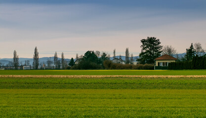 Fototapeta premium landschaft, gras, himmel, bauwerk, feld, haus, stadt, land, architektur, park, bauernhof, dorf, burg, natur, sommer, ackerbau, baum, anreisen, gegend, alt, kirche, anblick, silhouetten, frühling, baum