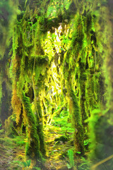 Forest scene with mossy trees and sun beams colorful painting looks like picture.