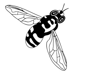 Line bee isolated on the white background