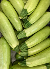 zucchini on the market