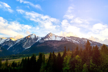 Green forest mountain at sunset with sun.