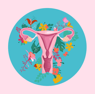Healthy female reproductive system with floral background.Uterus and cervix anatomy.Ovary with medinilla blossoms.International women day and girl power postcard.Fallopian tubes with lotus.Vector