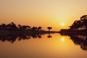 Bright and orange sunset with silhouette tree in an Amazon river. Tree silhouetted against a setting sun in the Brazilian Amazon rainforest.
