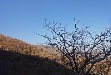 beauty of mount abu hill station,rajasthan,india