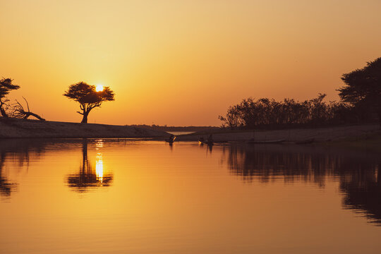 Bright and orange sunset with silhouette tree in an Amazon river. Tree silhouetted against a setting sun in the Brazilian Amazon rainforest.