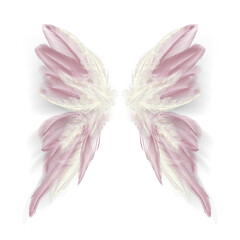 Butterfly wings with feathers. Modern abstract art gold pink feather. Vector illustration.