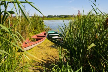 small shabby and worn wooden fishing boats at a lake bank in backwater, swamp rich green vegetation, surface covered with duckweed, romantic scene header