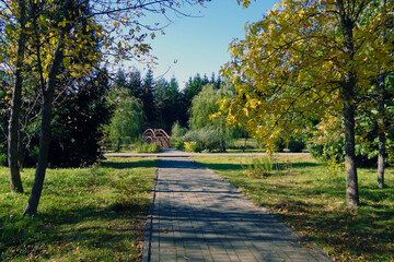 Beautiful view of the park in spring or summer on a sunny day.