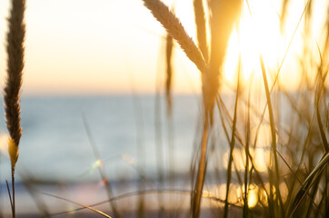 sunset on the baltic sea blurry sea background