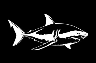 Vector hand-drawn shark on black background, illustration