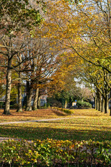 Transportation in the Netherlands, special bicycle lanes for safe cycling in Brabant in sunny autumn day