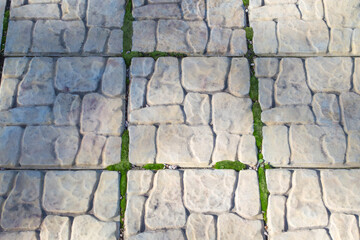 Green moss comes through the seams in the paving slabs