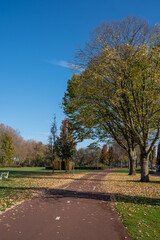 Fototapeta premium Transportation in the Netherlands, special bicycle lanes for safe cycling in Brabant in sunny autumn day