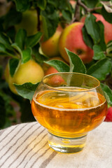 Glass of apple cider from Normandy, France and green apple tree with ripe red fruits on background