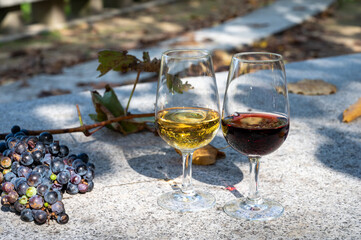 Outdoor tasting of different fortified port wines in glasses in sunny autumn, Douro Valley, Portugal