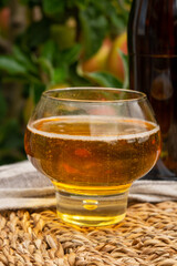 Glass of apple cider from Normandy, France and green apple tree with ripe red fruits on background