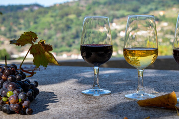 Outdoor tasting of different fortified port wines in glasses in sunny autumn, Douro Valley, Portugal