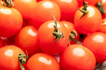 Small red ripe Sweet Enjoy cherry vine tomatoes, Rivolo variety