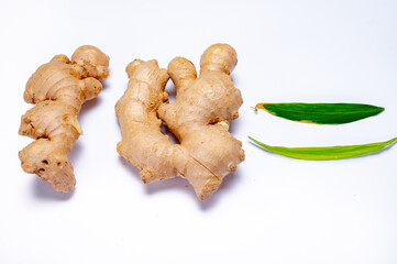 Fresh ginger rhizome root used in traditional medicines and for flavoring meals isolated on white