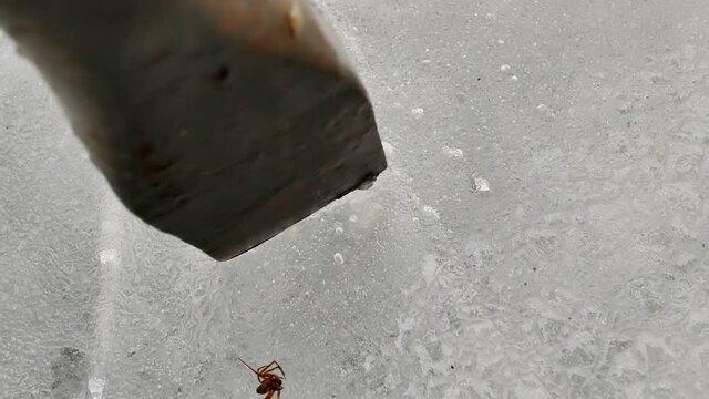 breaking ice with a heavy tool. color