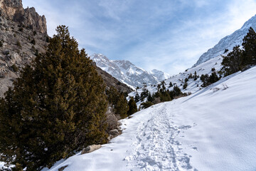 Fototapeta premium snow covered mountains in winter