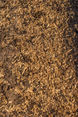 Baumrinde mit Sägespänen bedeckt