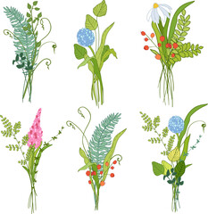 Fototapeta na wymiar Floral bouquet, herbs and flowers arrangment, isolated on white. Vector illustration.