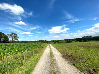 Fototapeta na wymiar Agricultural land, with a track, leading to a farm, on a hot summers day in, Bolton by Bowland, Clitheroe, UK