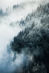 Moody snow covered green forest landscape with fog and mist in the mountains
