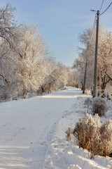 winter embankment, snow-covered path, trees in hoarfrost, winter snowy white landscape on a sunny day