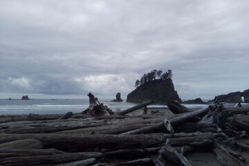 Beautiful Pacific Coast in the Olympic National Park.