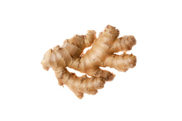 Fresh ginger root isolated on white