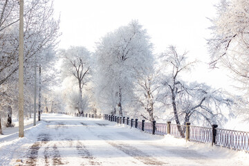 winter embankment, snow-covered path, trees in hoarfrost, winter snowy white landscape on a sunny day