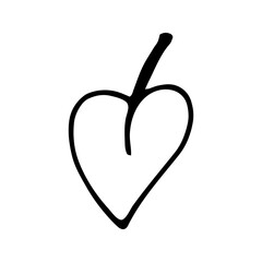 Single hand drawn leaf for winter and autumn decoration. Doodle vector illustration. Isolated on white background