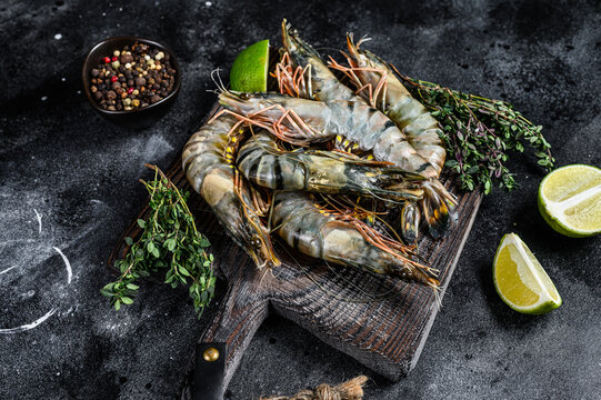 “Tiger Shrimp” Billeder – Gennemse 14,878 stockfotos, vektorer og