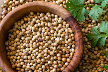 Obraz premium Coriander