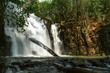 Obraz premium waterfall in the woods