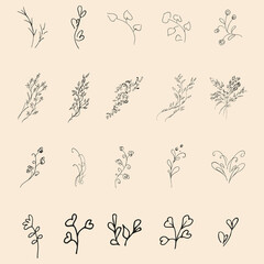 Doodle simple vector collection of 20 hand-drawn floral elements. Big collection of 20 hand-drawn branches. Big floral botanical set. Isolated