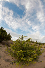 Tuscany coastal landscape, Italy.