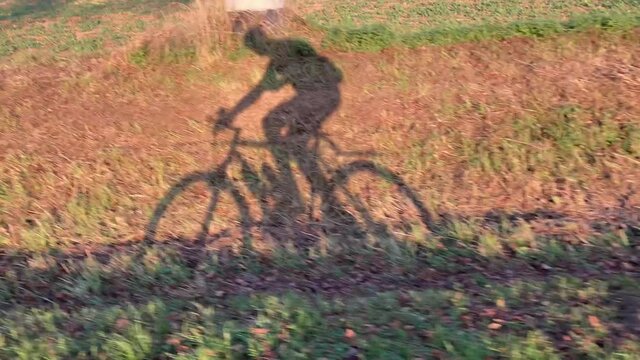 Schattenbild eines Radfahrers am Feldrand