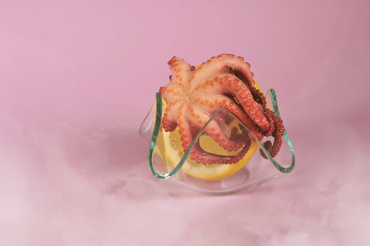 fresh octopus seafood