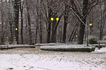 A city park square covered with white fluff.