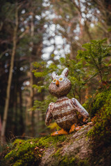 owl sitting on a tree