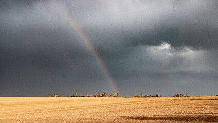 Rainbow on a dark sky above a field with dry grass in the sunlight.