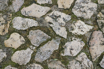 The texture of paving stones with grass.