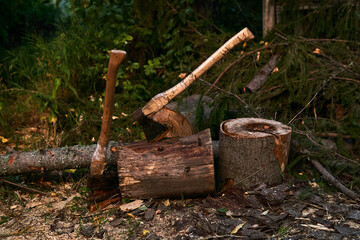 two old wood chopping axes stuck in a tree stump